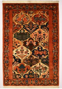 Persian Bakhtiar - Bandi - N422